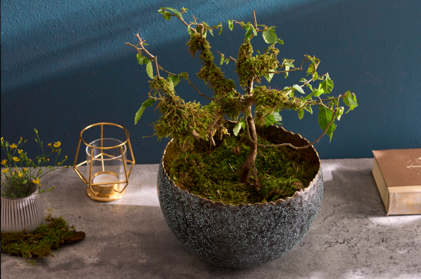 Orient Handcrafted Decorative Bowl In silver With Patina in Classic Hammered Design 23 cm